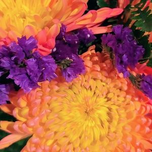 Meet your Posher, Katherine